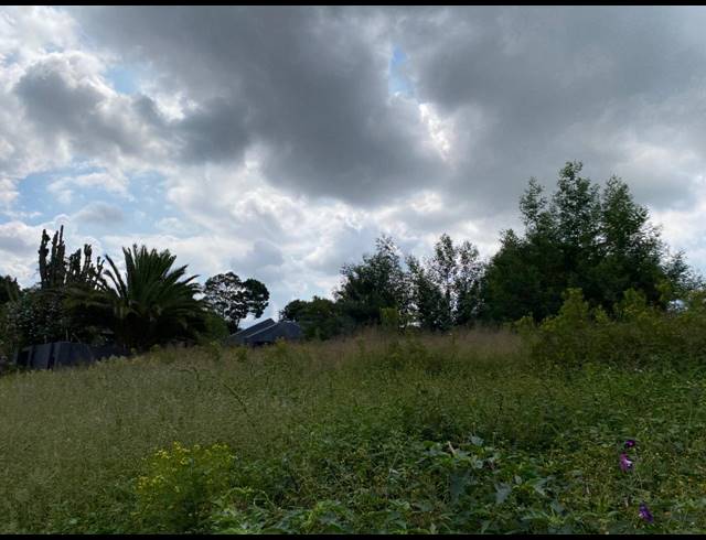 991M² VACANT LAND FOR SALE IN OHENIMURI